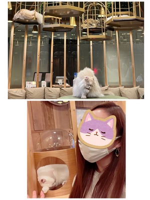 まい