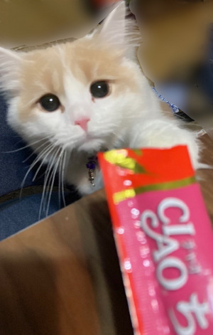 まい