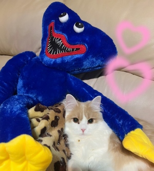 まい