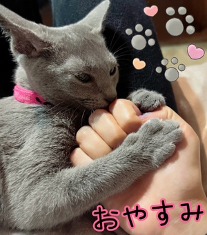 まい
