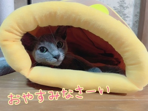 まい