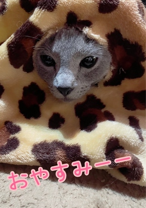 まい