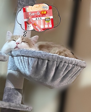 まい