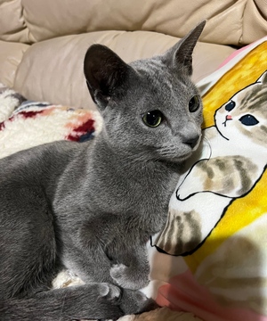 まい