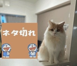 まい