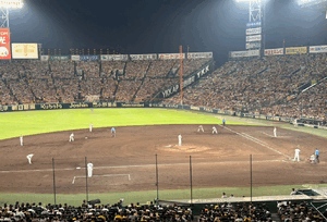 まい