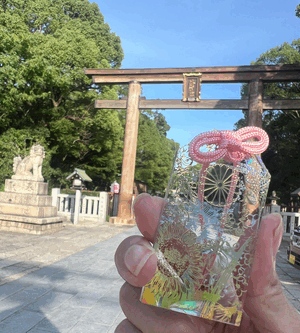 まい