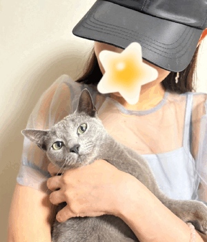 まい