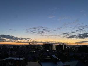 アン