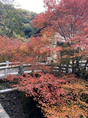 アン
