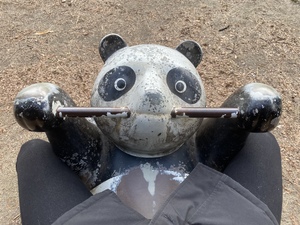 アン