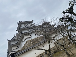 アン