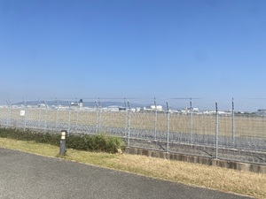 アン