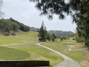 アン