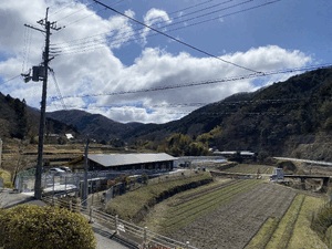 アン