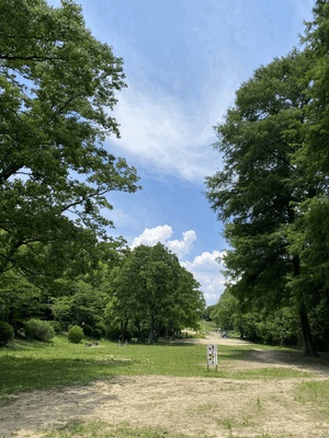 アン