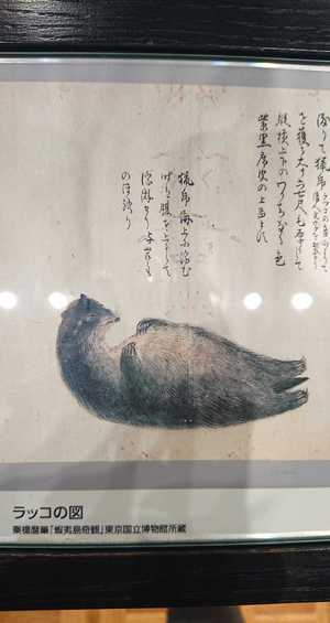 いずみ