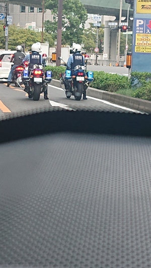 いずみ