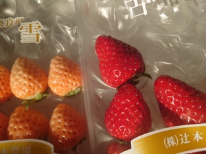 いずみ