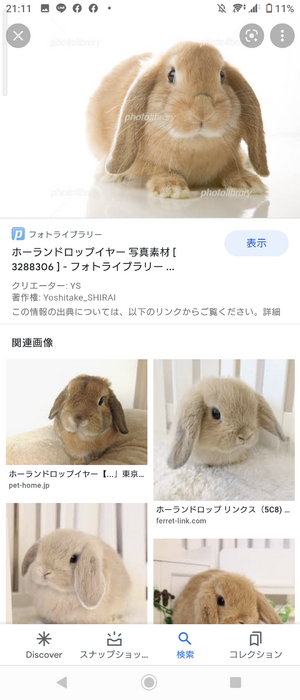いずみ