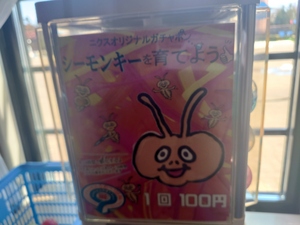 いずみ