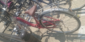 いずみ