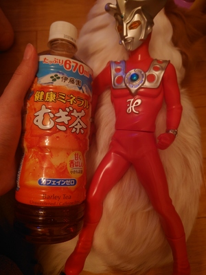 いずみ