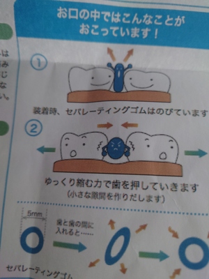 いずみ