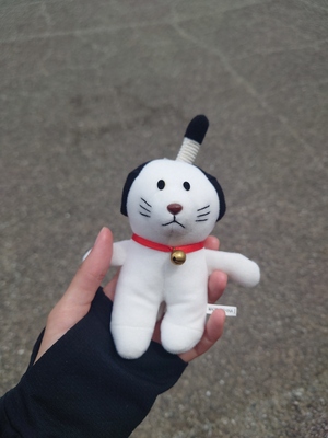いずみ