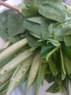 いずみ
