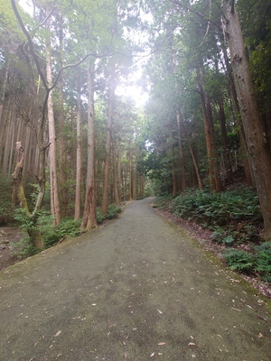 いずみ