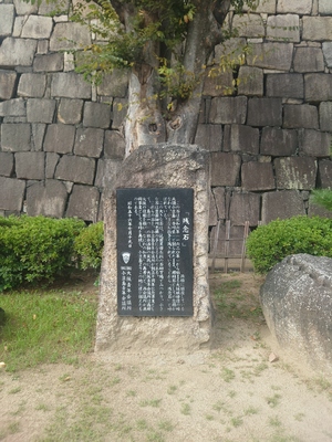 いずみ