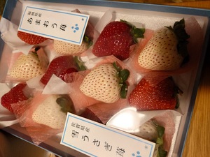 いずみ