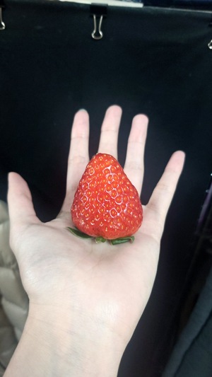 いずみ