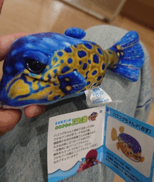 いずみ