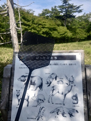 いずみ