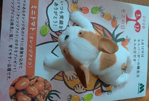 いずみ