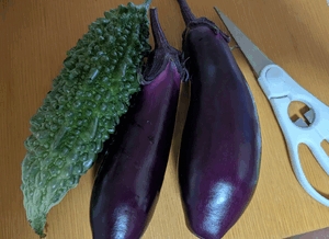 いずみ