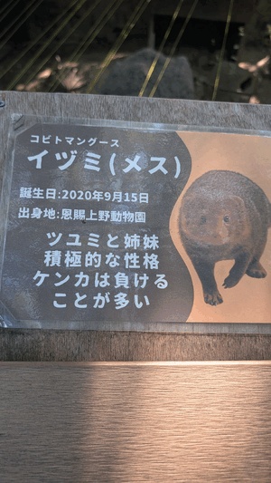いずみ
