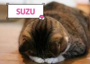 すず