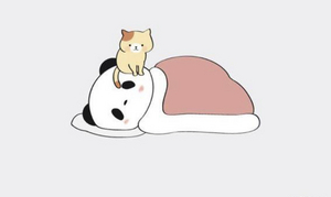 すず