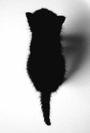 すず