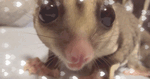みく 写メ