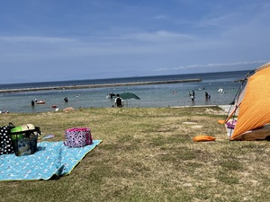 みく