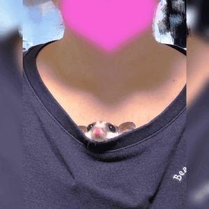 みく