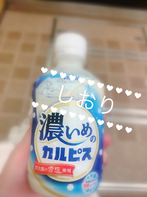 しおり