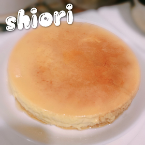しおり