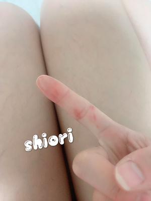 しおり