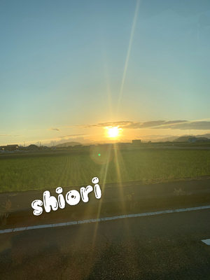 しおり
