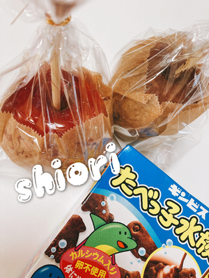 しおり